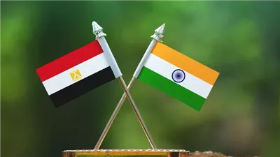 مصر والهند.. شراكة تكنولوجية تنطلق نحو الأسواق العالمية (تفاصيل)