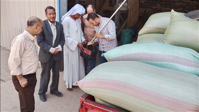 محافظ المنيا: توريد أكثر من 504 آلاف طن قمح منذ بدء موسم 2025