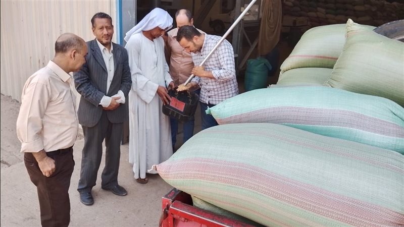 توريد القمح