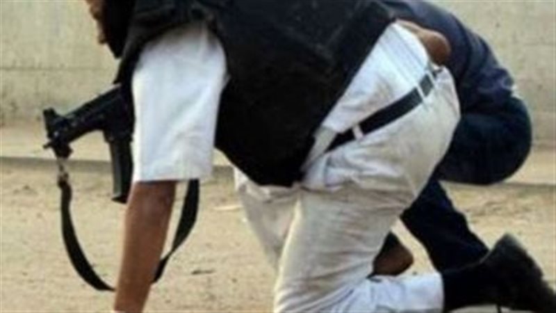 نبيل فراج