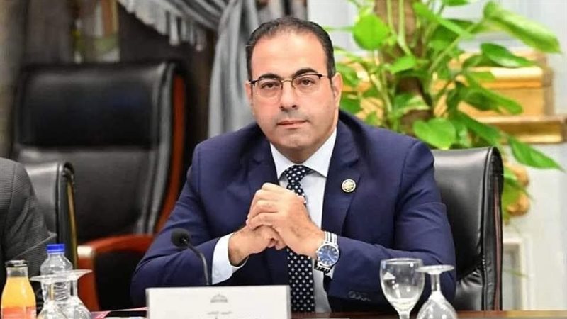 رئيس لجنة الشباب والرياضة 