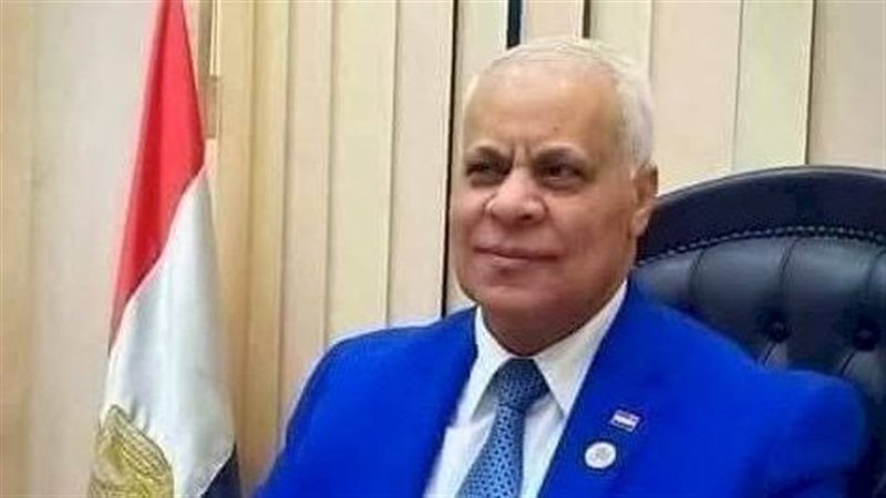 المستشار مايكل روفائيل، نائب رئيس حزب مصر القومي