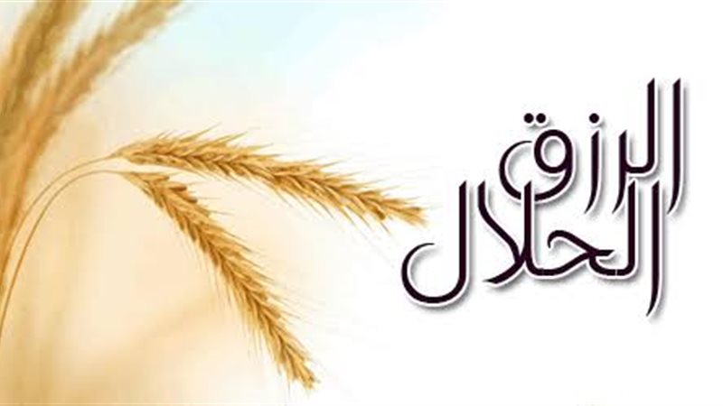 ارشيفية 