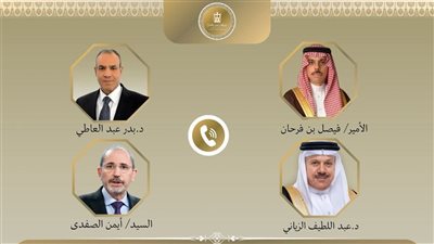 وزير الخارجية يستعرض تداعيات الصراع الإيراني الإسرائيلي مع الوزراء العرب