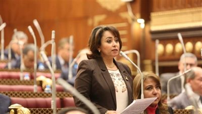 أمينة التضامن بالشيوخ: القيادة تمضي بخطى ثابتة في مواجهة التحديات الاقتصادية والإقليمية