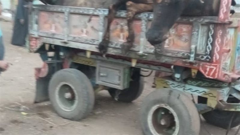 صورة من موقع الحادث 