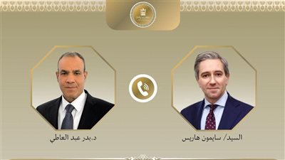 وزير الخارجية يستعرض مع نظيره الإيرلندي جهود استئناف وقف إطلاق النار فى غزة 