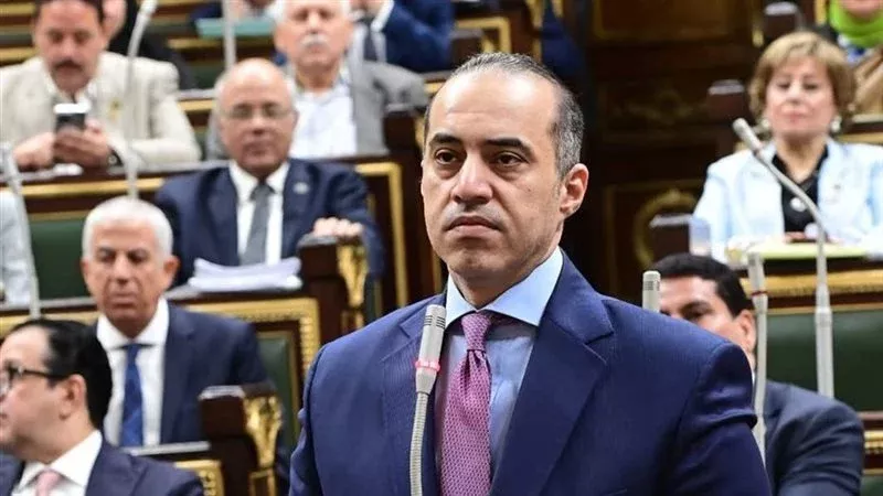 المستشار محمود فوزي