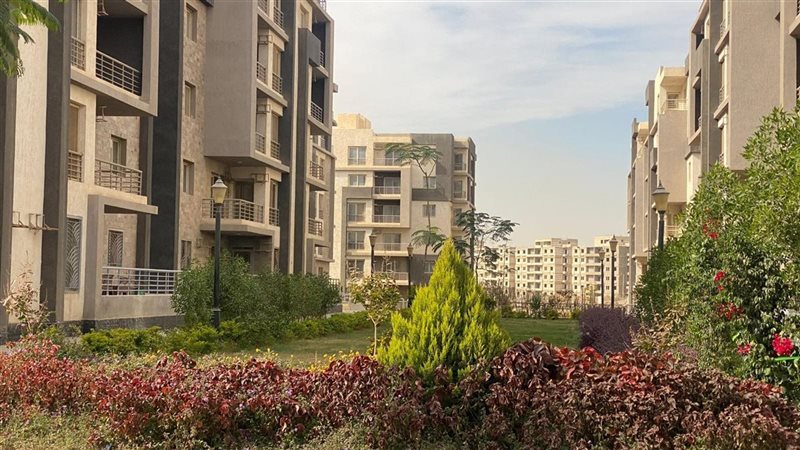 القاهرة الجديدة