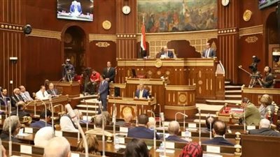 مجلس الشيوخ يناقش قضايا التعليم والبنية التحتية وتحسين الخدمات غدًا