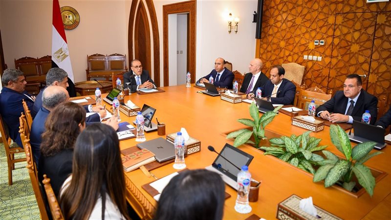 وزير الخارجية بدر عبد العاطي 
