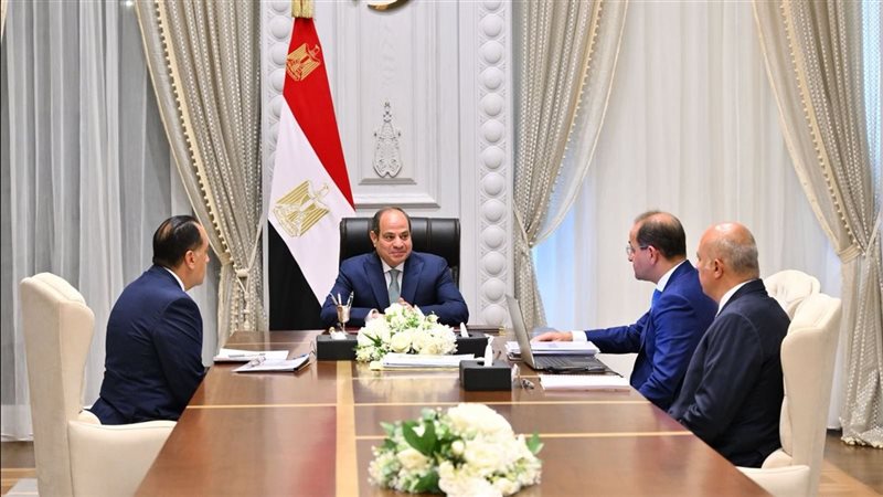 الرئيس السيسي ووزير المالية