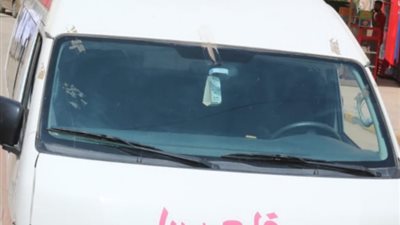 مصرع  عاملين بهندسة كهرباء كفر داود أثناء صيانة عامود كهرباء