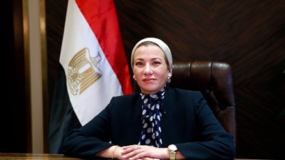 البيئة: نجاح أول مهمة مصرية لرصد وتتبع أسماك القرش بالأقمار الصناعية في البحر الأحمر