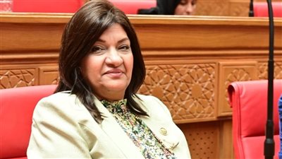 نائبة تتقدم بطلب إحاطة لوزير النقل بشأن عدم استكمال بعض الطرق