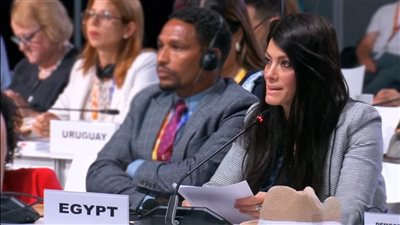 المشاط: الدول النامية تتحمل العبء الأكبر من أزمة الديون العالمية