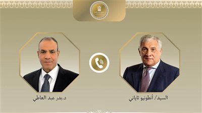 وزير الخارجية يناقش مع نظيره الإيطالي جهود مصر في إنهاء العدوان على غزة 