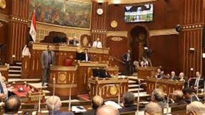13 متقدما فى الإسماعيلية.. تعرف على المرشحين لانتخابات الشيوخ 2025