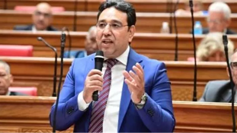 الدكتور أيمن محسب، وكيل لجنة الشئون العربية بمجلس النواب