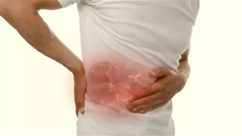 الكلى 