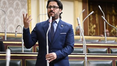 النائب أحمد البرلسي: حزب 