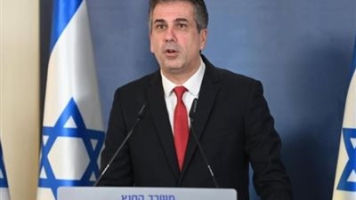 وزير الخارجية الإسرائيلي: أسبوعان لحسم الأمور بغزة قبل تعرضنا لضغط دولي