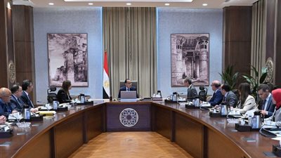 الحكومة تتابع إجراءات فض التشابكات المالية بين بنك الاستثمار والبريد