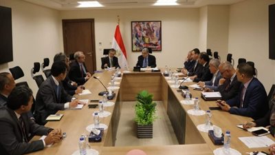 وزير الكهرباء يبحث مع وفد ياباني التعاون في «الطاقة المتجددة» وتوطين الصناعة