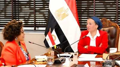 البيئة تتابع مستجدات استضافة مصر لمركز التميز للتكيف والمرونة