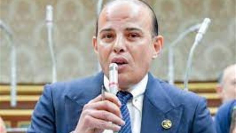 النائب عمرو قطامي