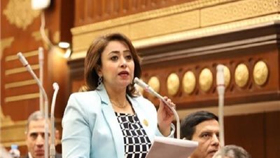 أمين سر حقوق الإنسان بالشيوخ تُثمن استجابة السيسي لعلاج طفل لفلسطيني