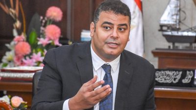 عضو بـ«تنسيقية الأحزاب»: الرئيس السيسي أثبت للعالم أن مصر دولة مؤسسات