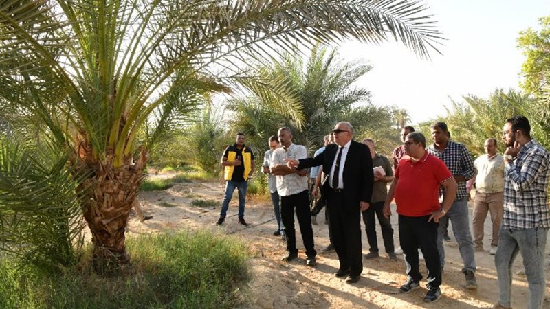 الزيارة