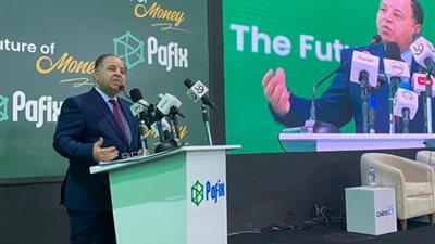 وزير المالية: مصر تمضي بخطى ثابتة نحو التحول للاقتصاد الرقمي