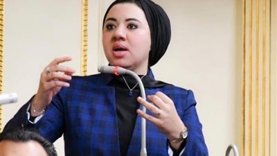 نائبة المصري الديمقراطي: مصر تعتبر أمن فلسطين جزءً من أمنها القومي