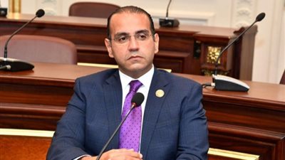 وكيل صناعة الشيوخ: مصر تمارس ضغوطًا مضنية لإدخال المساعدات لغزة