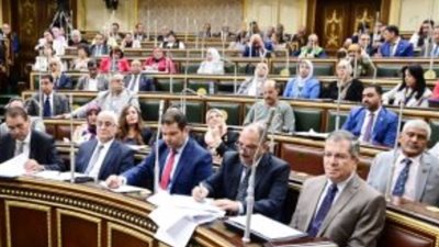 «برلمانية النور»: مصر تدفع الثمن من أجل القضية الفلسطينية