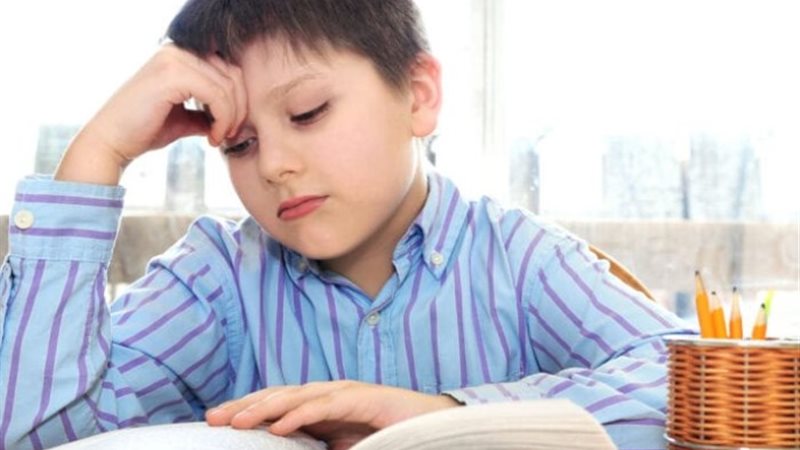 أكلات تساعد على التركيز
