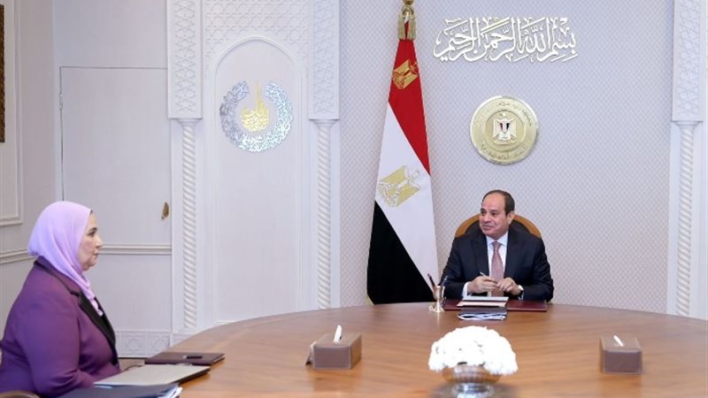 جانب من لقاء الرئيس بوزيرة التضامن