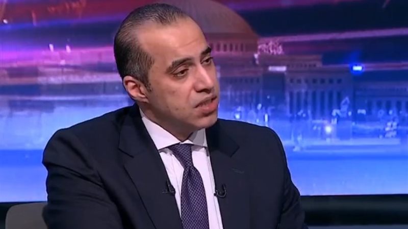 المستشار محمود فوزي