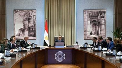 الحكومة تطرح مبادرة لبيع العقارات بالدولار للمصريين بالخارج