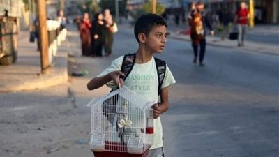 مندوب فلسطين بالأمم المتحدة: إسرائيل حرمت 2.3 مليون شخص من سبل الحياة