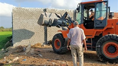 الإسكندرية تنفذ التوجيهات الرئاسية وتزيل تعديات على أراض زراعية