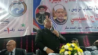 حزب الجيل الديمقراطي ينظم مؤتمرا جماهيريا لدعم «السيسي» بالجيزة