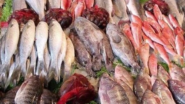 أسعار الأسماك