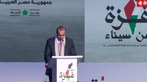 المستشار محمود فوزي