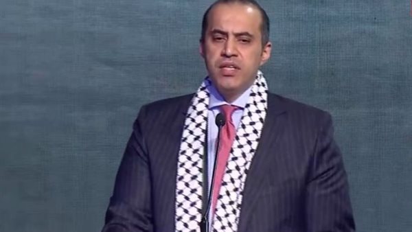 المستشار محمود فوزي