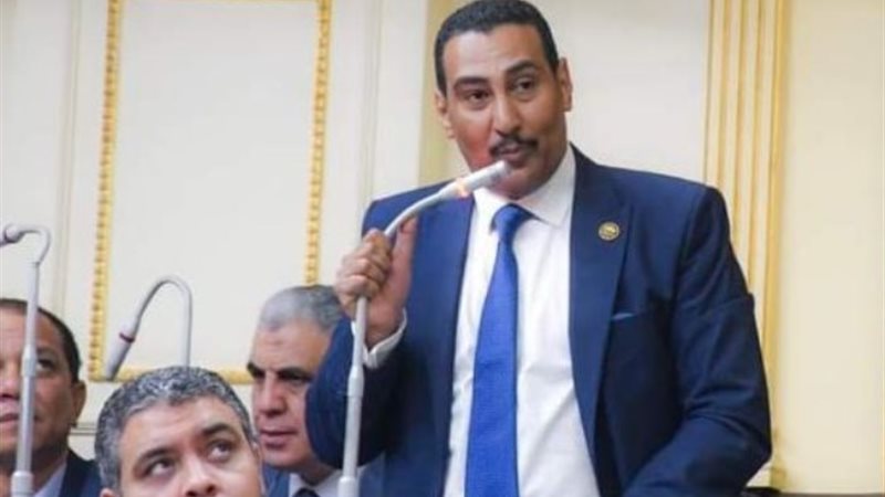النائب محمد الجبلاوي