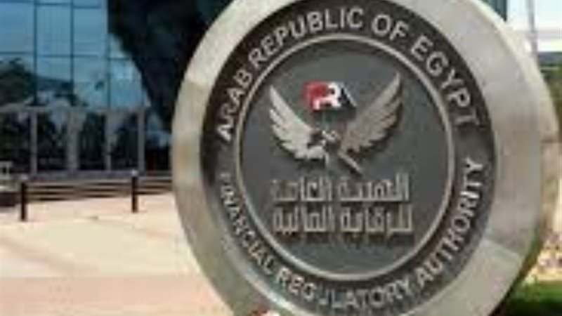 هيئة الرقابة المالية