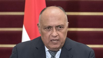 سامح شكري: وقف إطلاق النار  فى عزة لن يتحقق إلا بالضغط الدولي